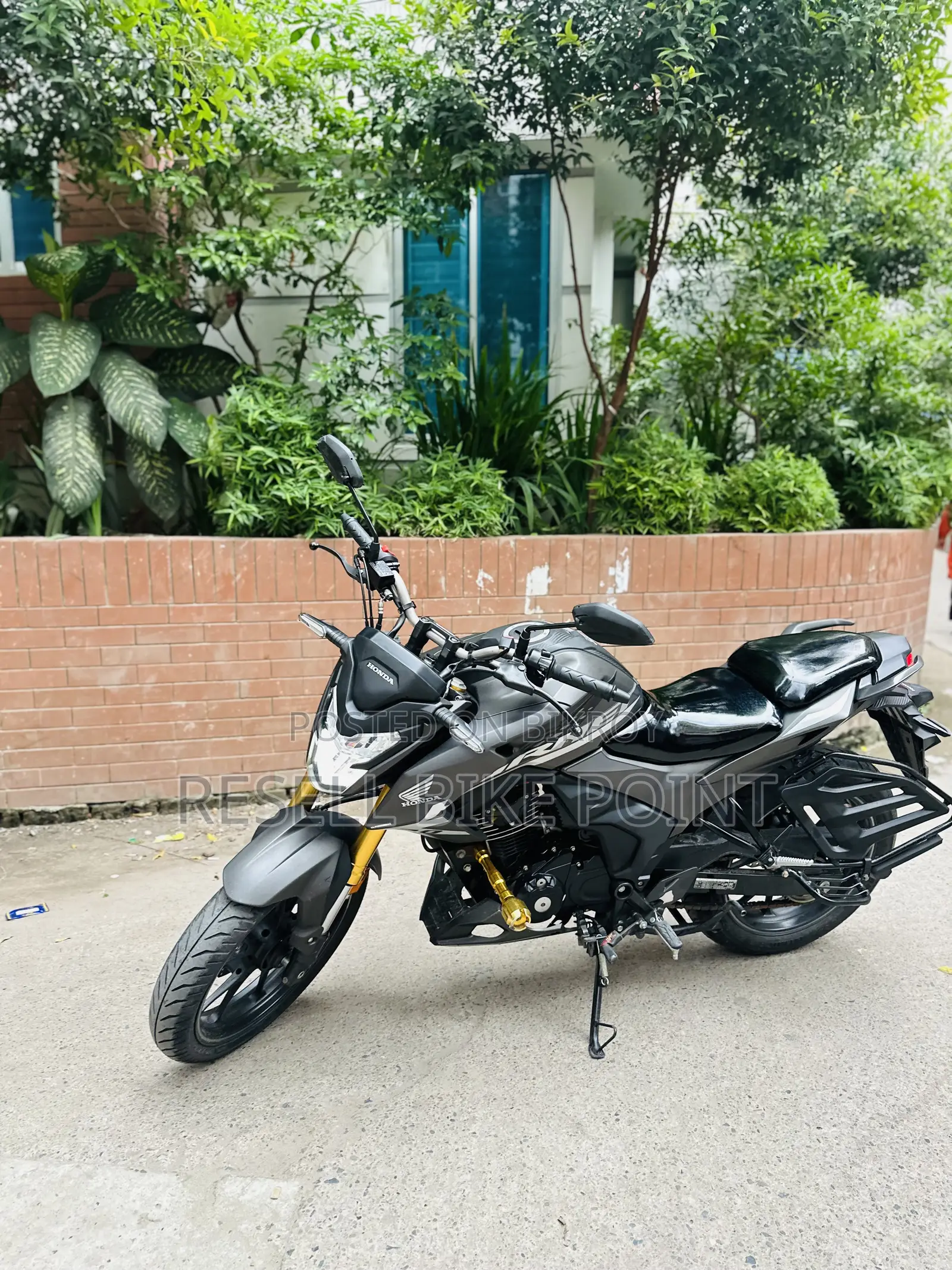 Honda Hornet 2025 Gray