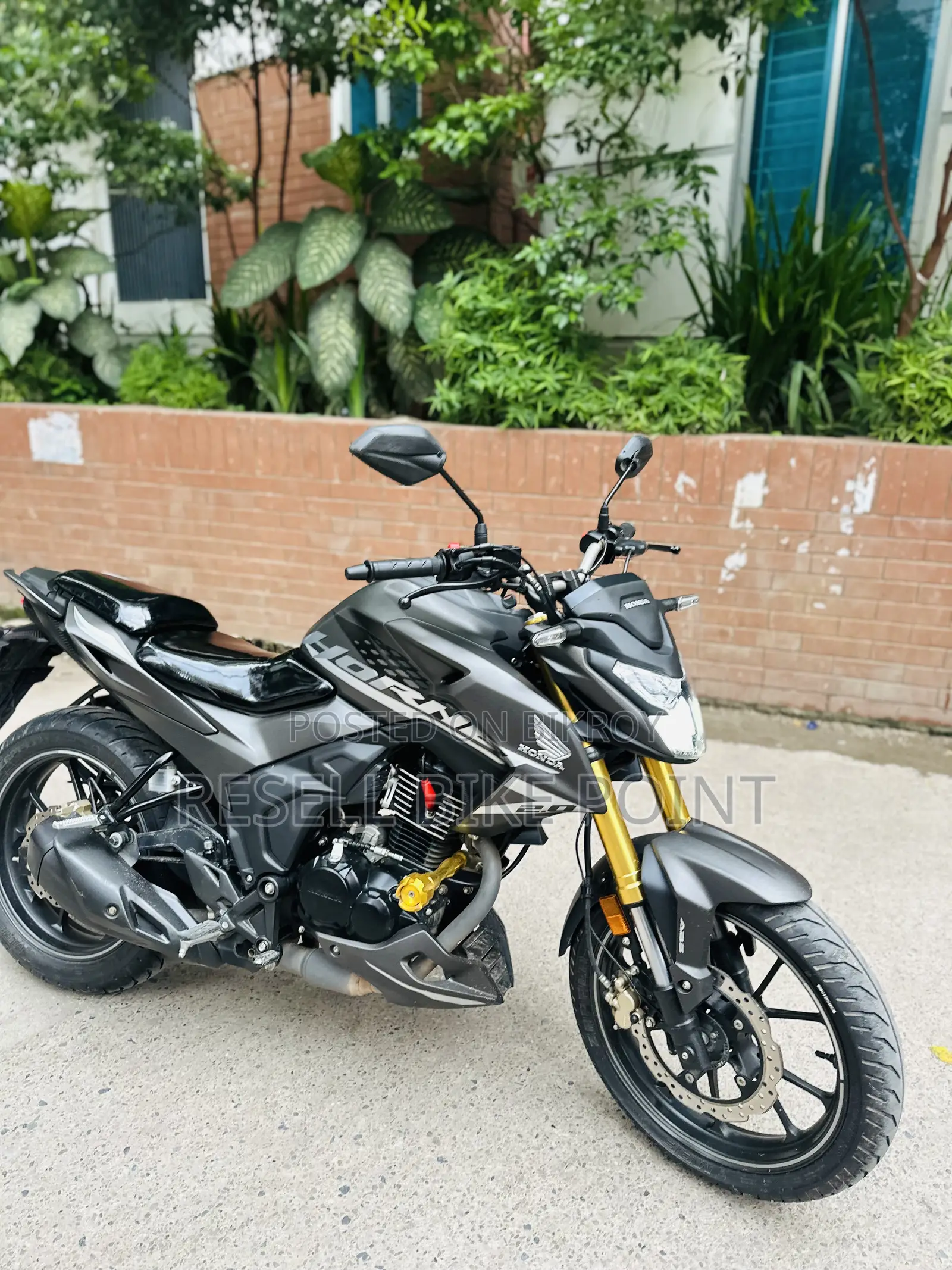 Honda Hornet 2025 Gray