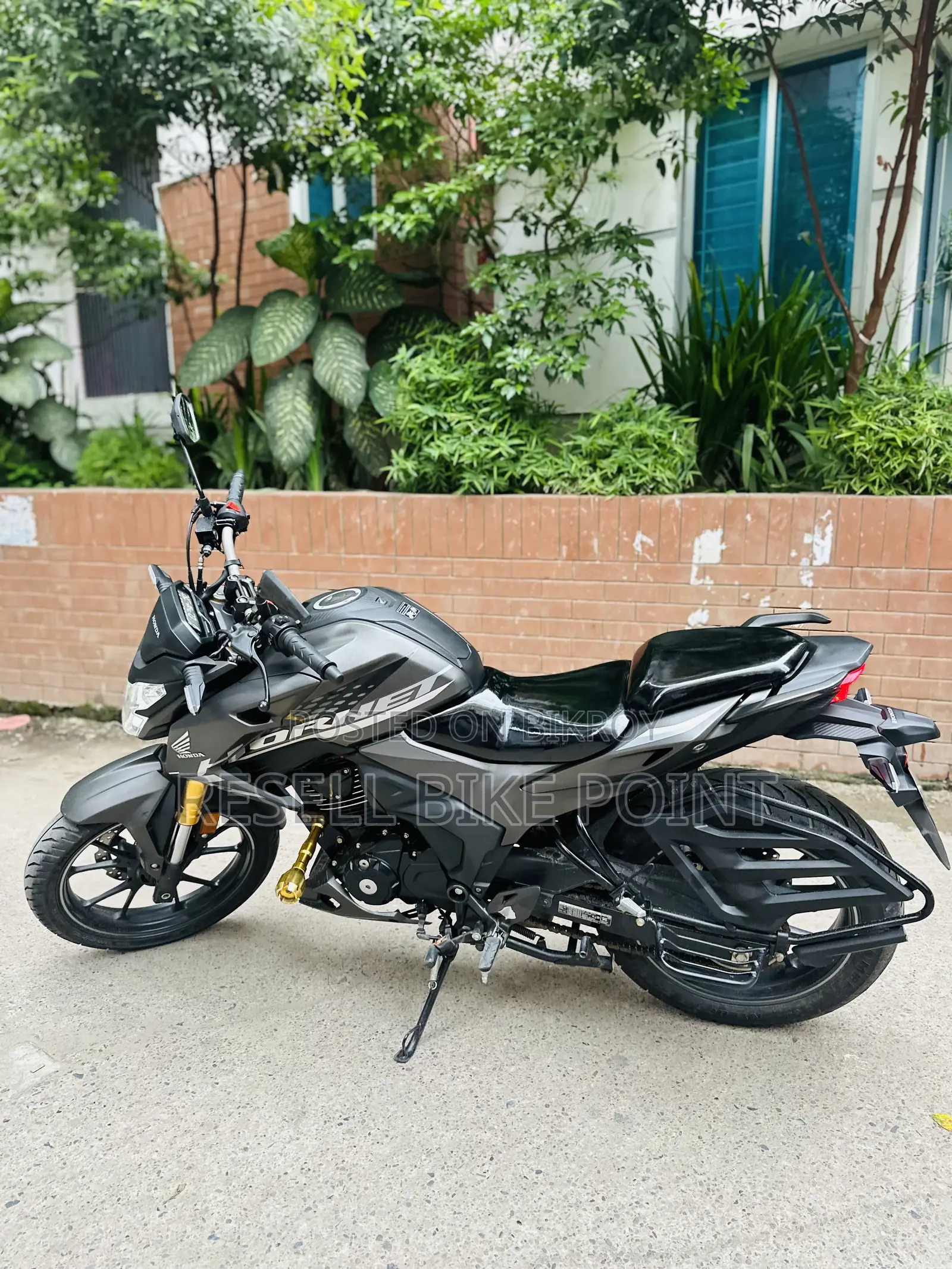 Honda Hornet 2025 Gray