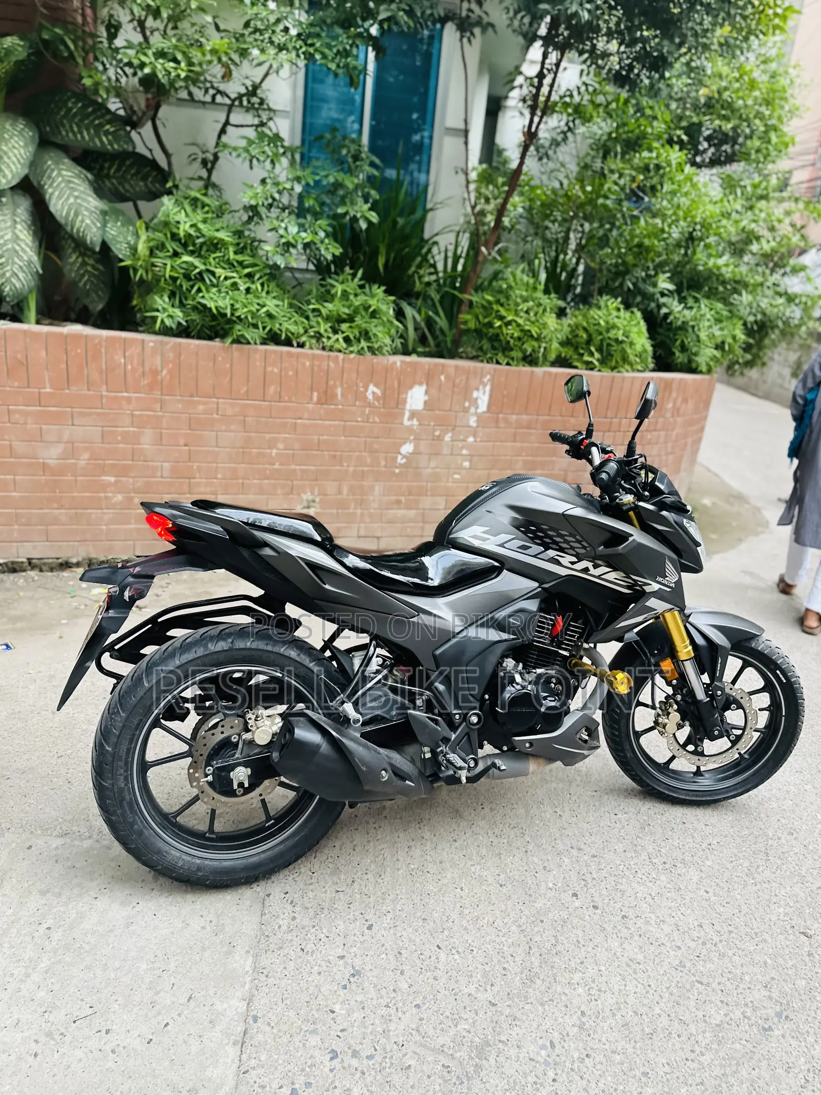 Honda Hornet 2025 Gray