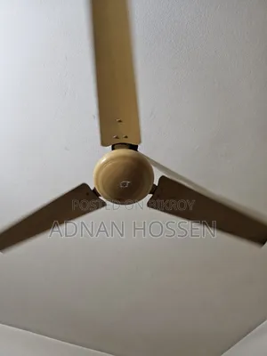 Ceiling Fan
