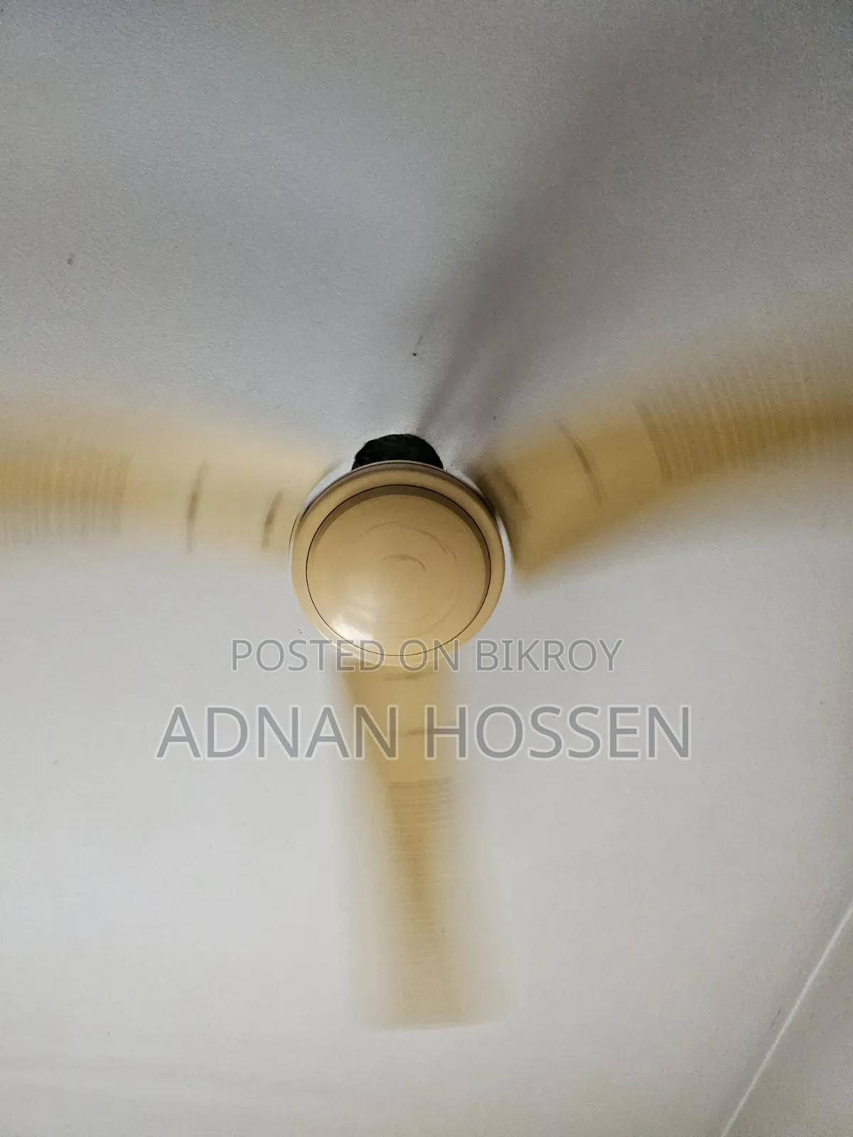 Ceiling Fan