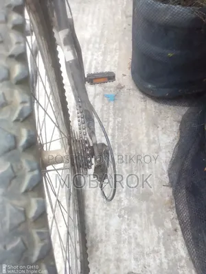 No problems with the bicycle, the bicycle has no issues at all