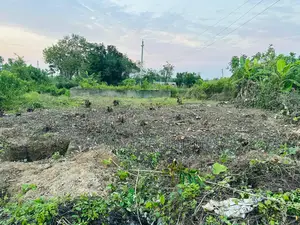South Face 3 Katha Allotted Plot Sale Purbachal, 75 Feet Road