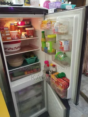 Lg Refrigerator