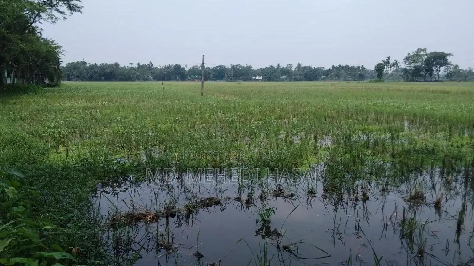Land for Sale
