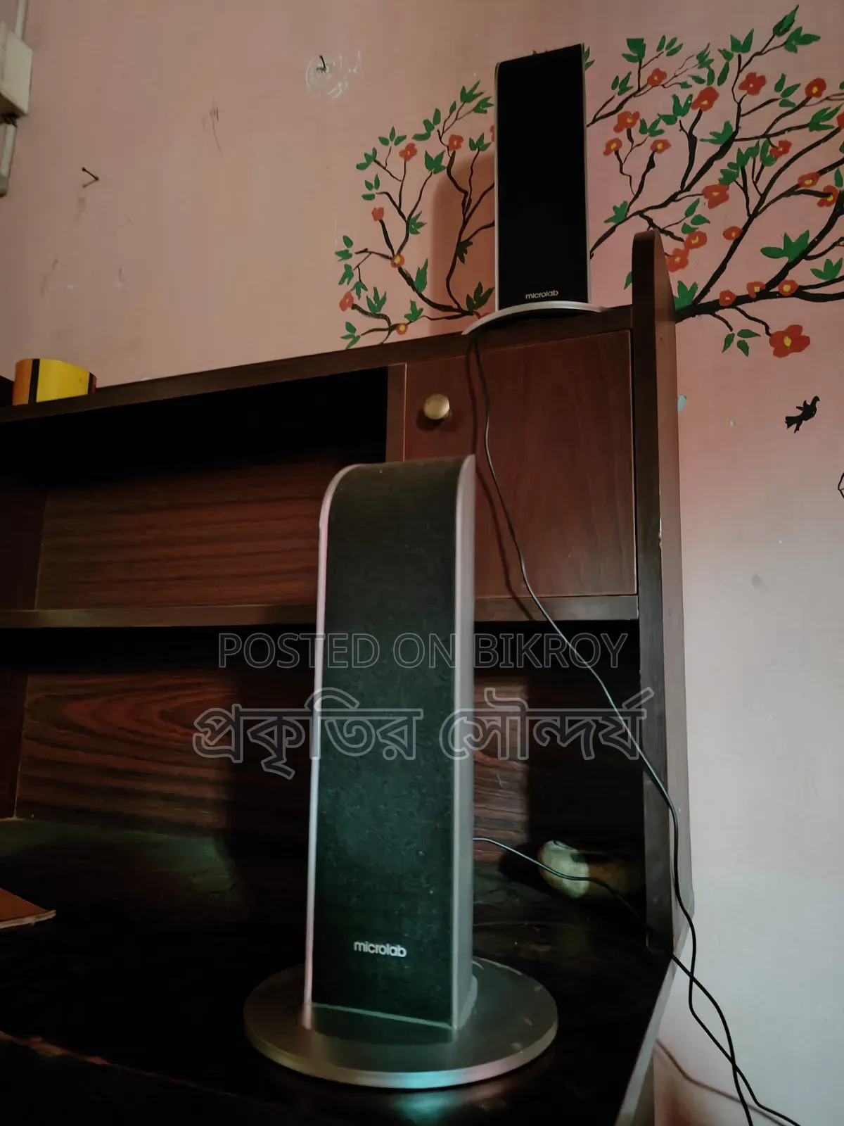 Sound box bought six or seven months ago. Location: Natore Kadirabad Cantonment.