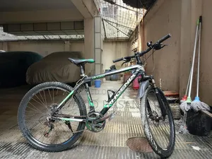 Phonix Bicycle For Sale