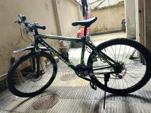 Phonix Bicycle For Sale
