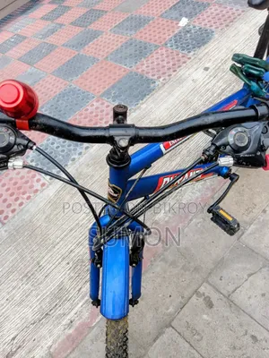 Duranta Cycle