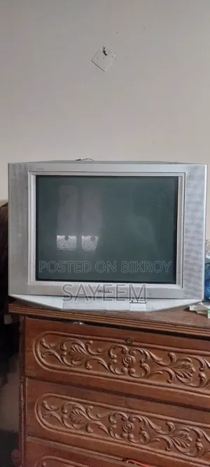 Sony 29-inch Television