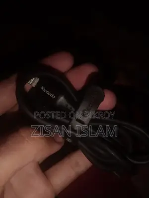 iPhone Charger