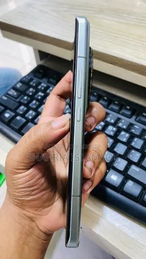 Xiaomi 13 Ultra (China) 256 GB Gray