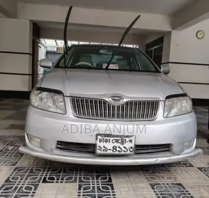 Toyota Corolla 2005 Gray