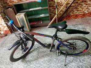 By Cycle (Phoenix)