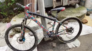 বাইসাইকেল।দেখতে অনেক সুন্দর