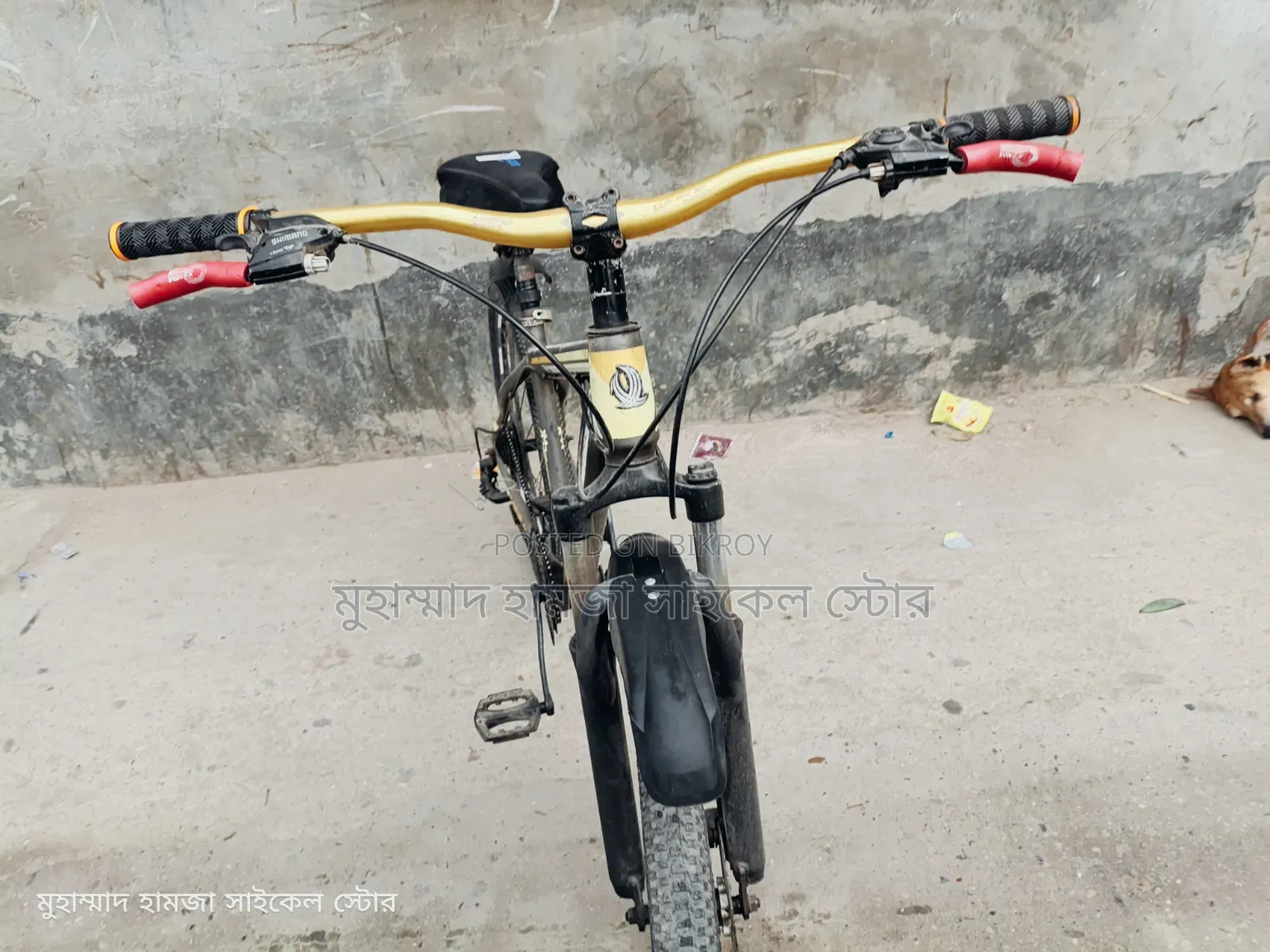 ফনিকস গিয়ার সাইকেল