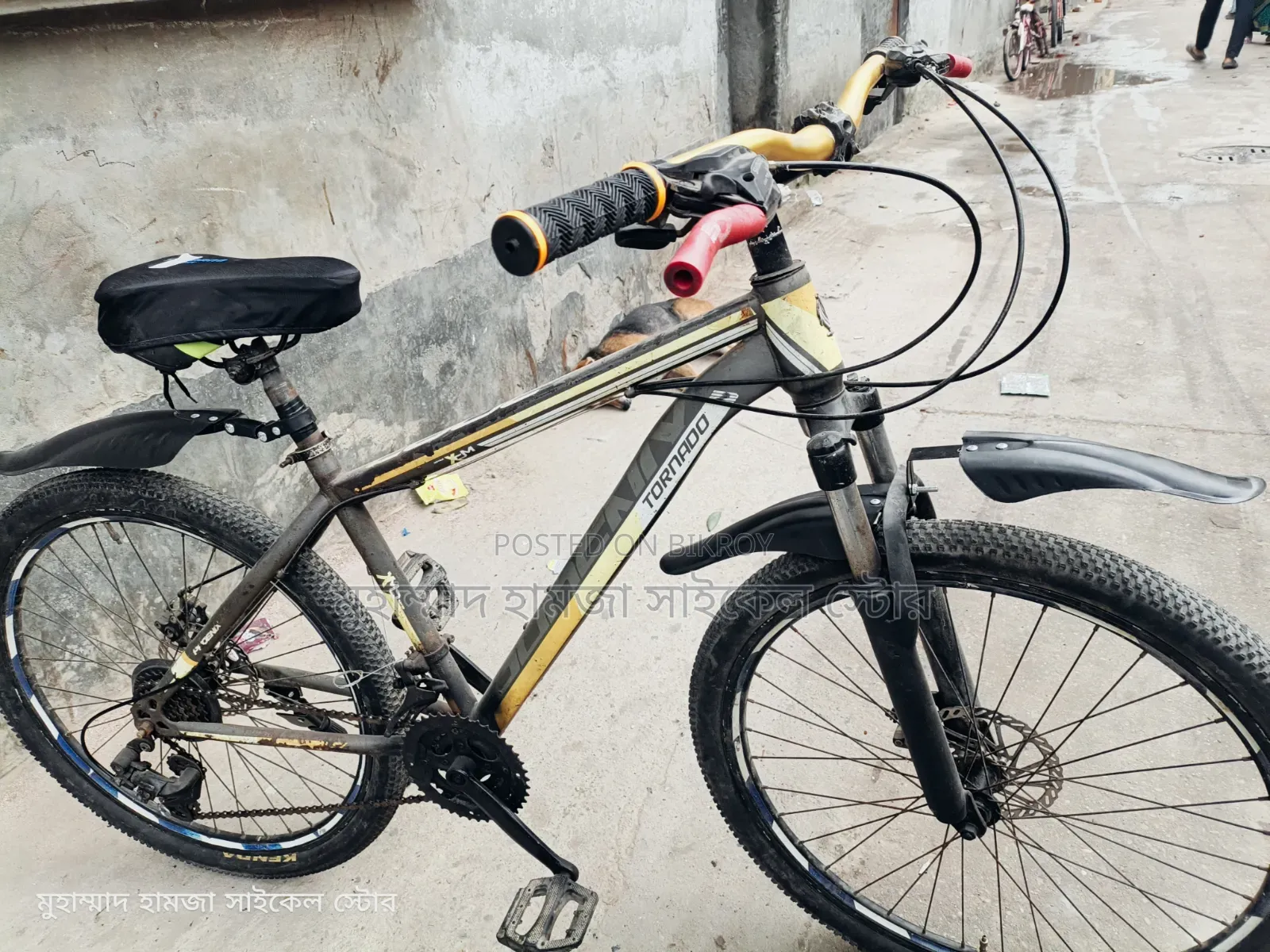 ফনিকস গিয়ার সাইকেল