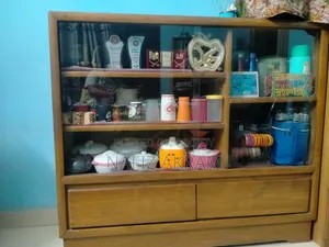 Mahogany wood glass showcase
