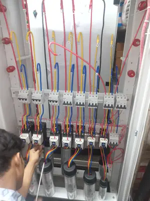 Professional Electrician