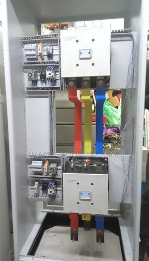 Professional Electrician