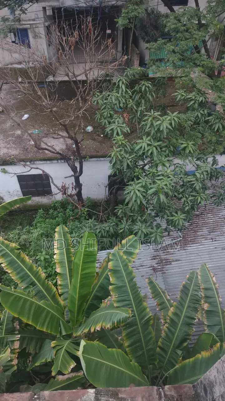 5 Katha land in Matuail Saddam Market Tushardhara Residential Area