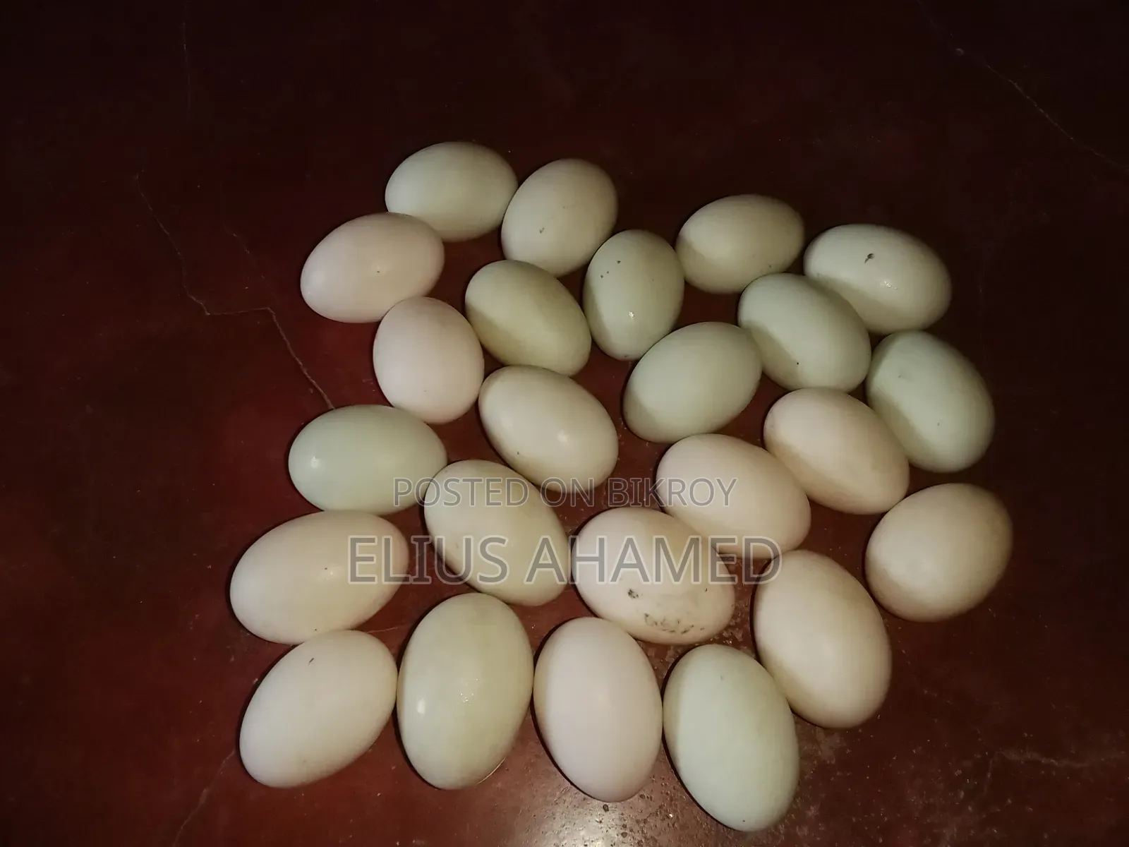 Local Duck Eggs