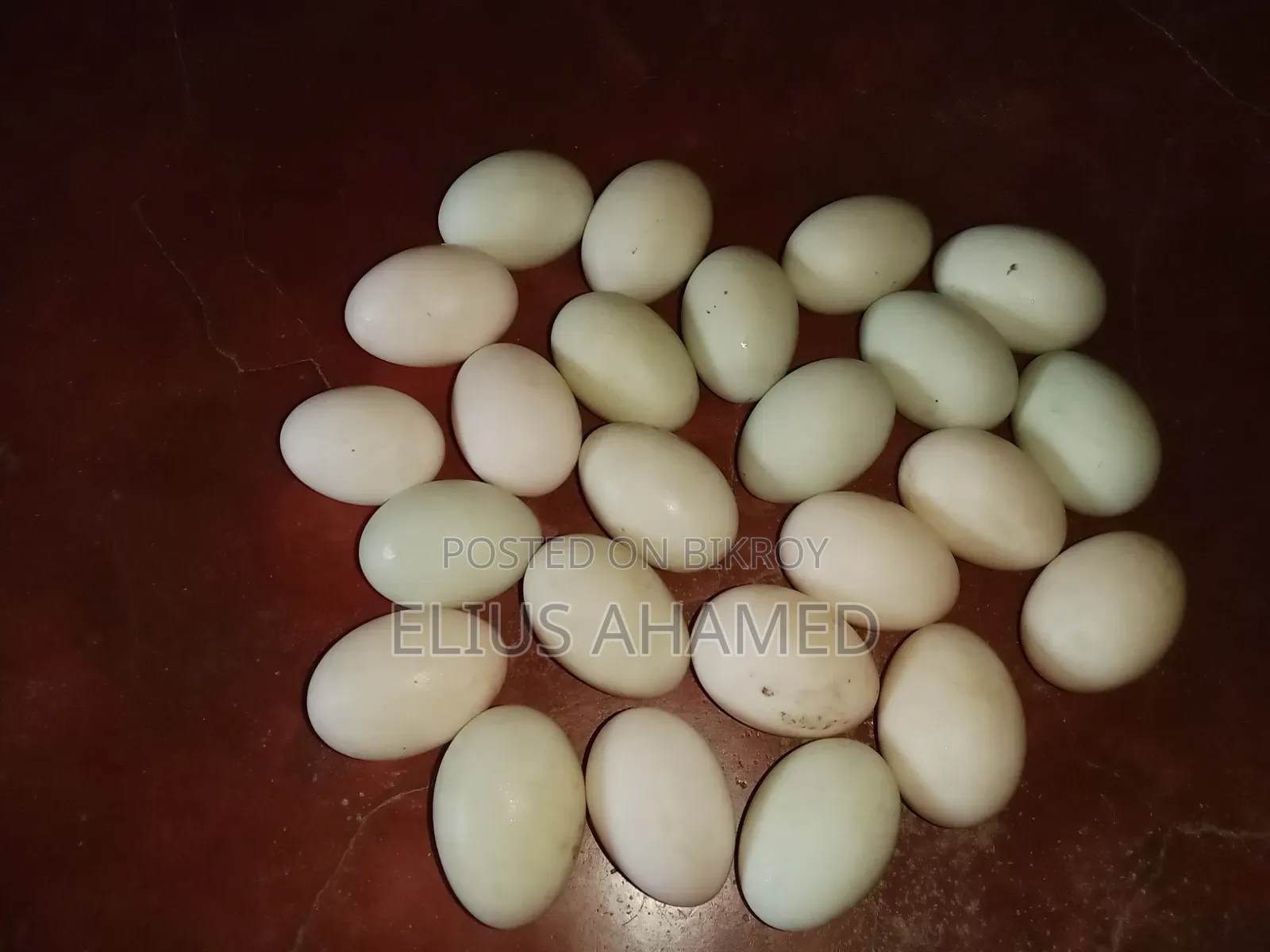 Local Duck Eggs