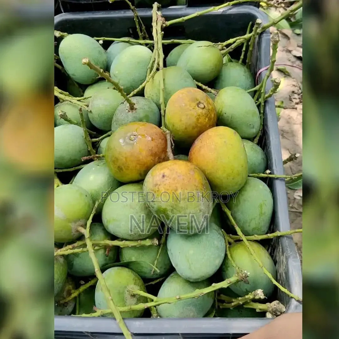 Rajshahi Mango