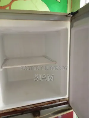 Singer 10 SFT Freeze