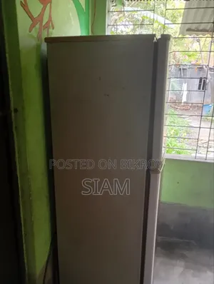 Singer 10 SFT Freeze
