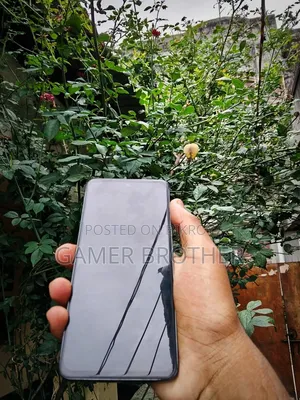 New Realme C67 128 GB Green
