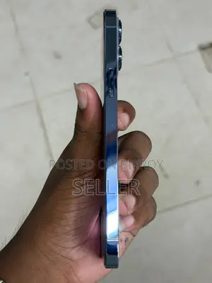 Apple iPhone 13 Pro Max 128 GB Blue