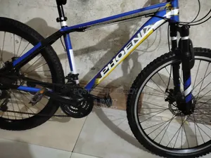 Phoenix for Sale