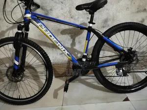 Phoenix for Sale