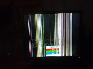 21" Square Dell Monitor