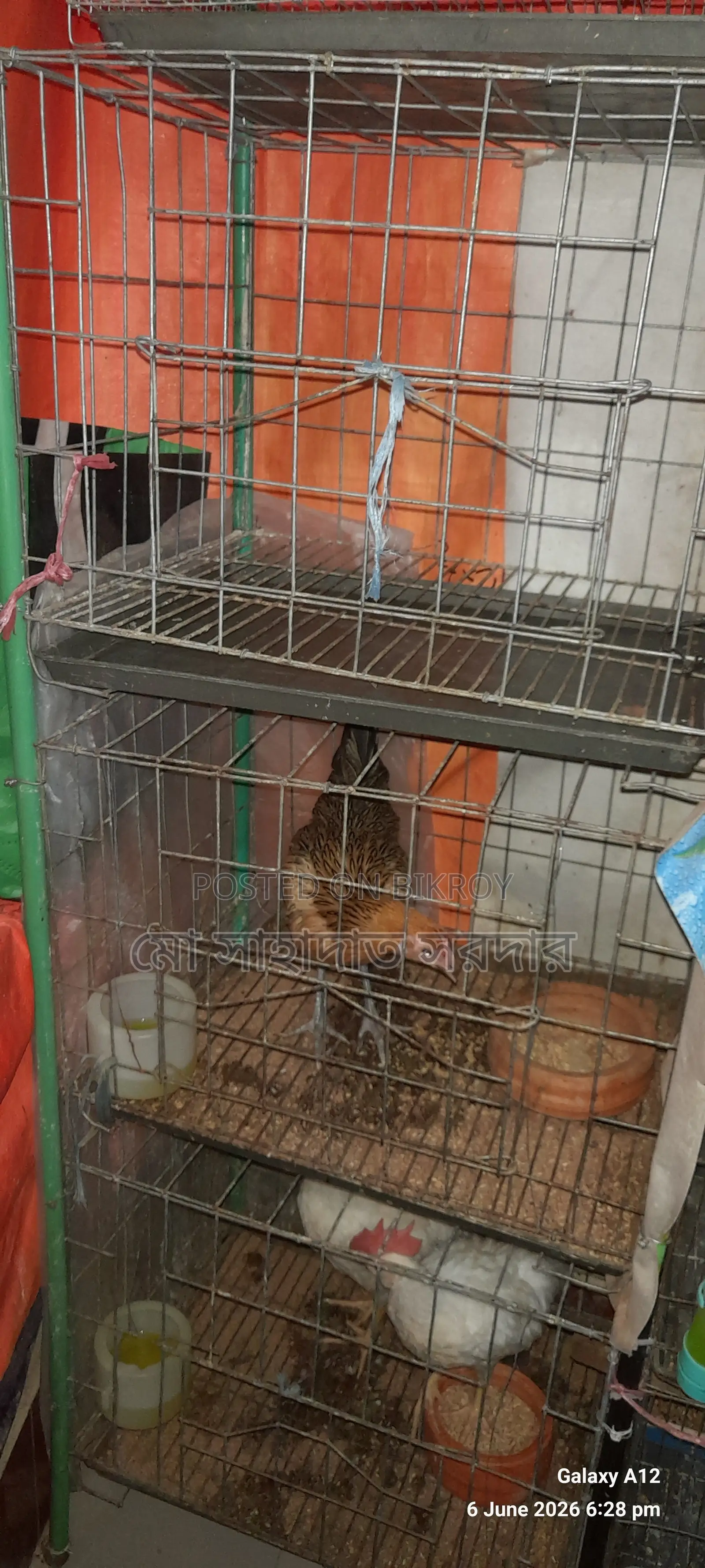 GI Wire Cage for Sale