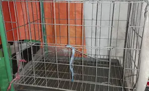 GI Wire Cage for Sale