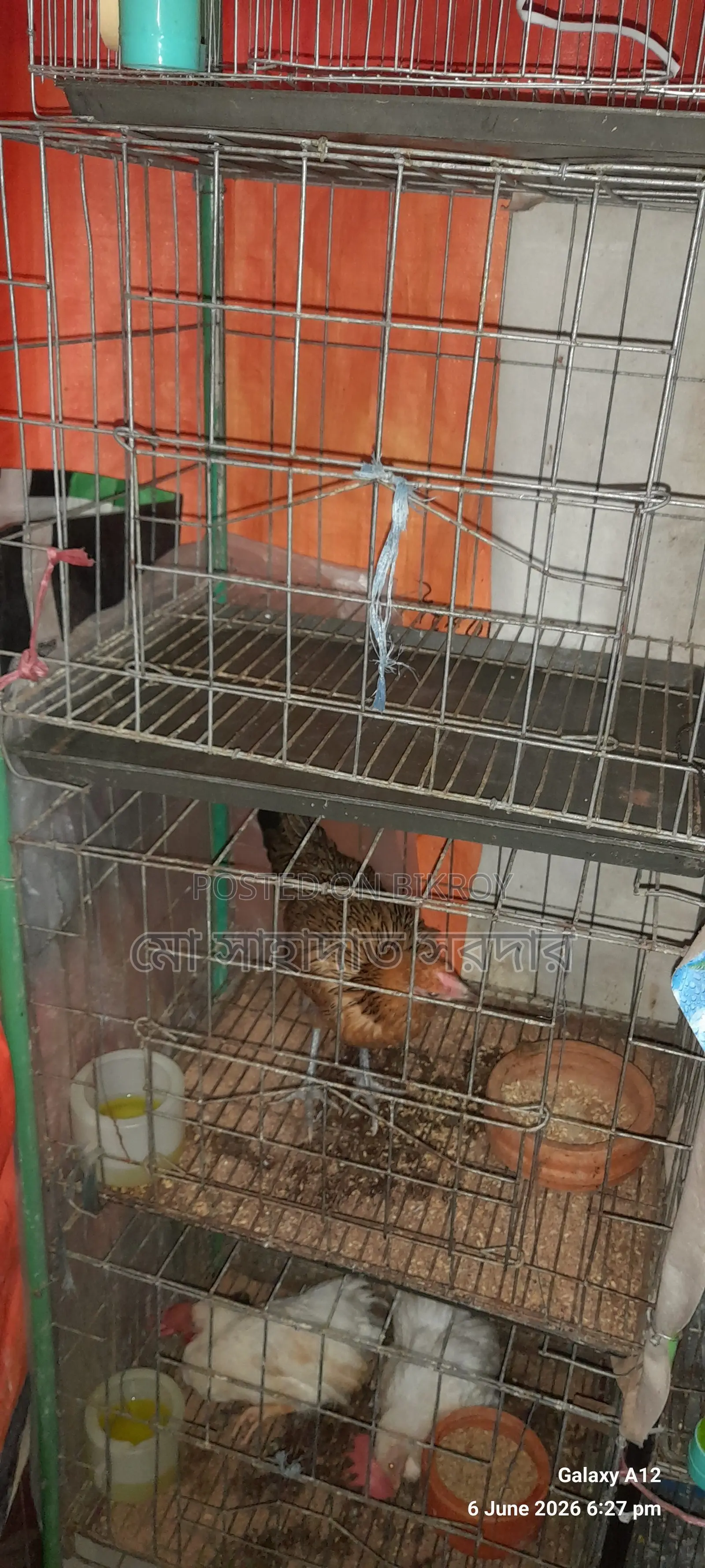 GI Wire Cage for Sale