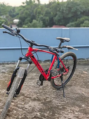 Veloce 71 Warrior 2.0