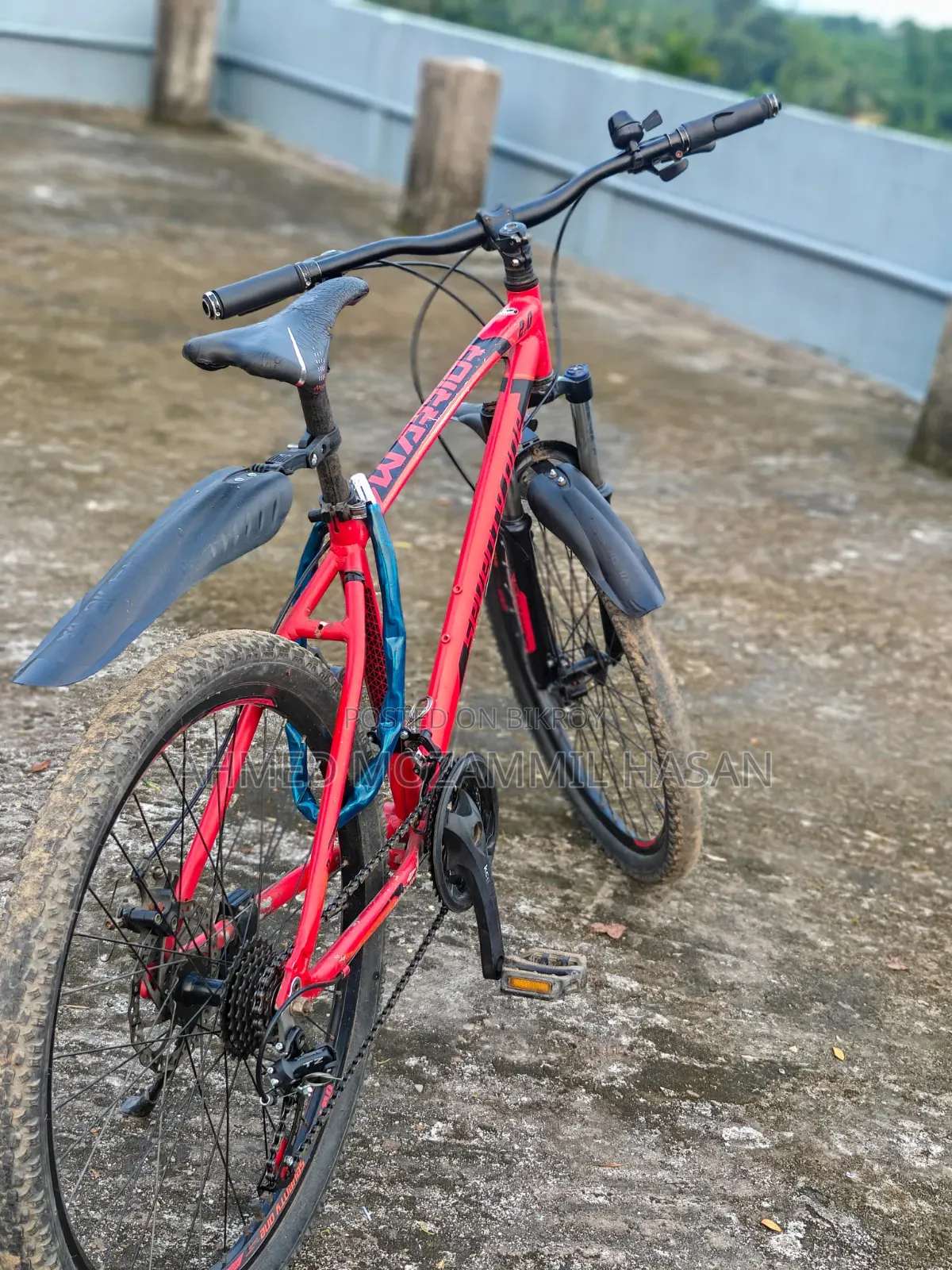 Veloce 71 Warrior 2.0