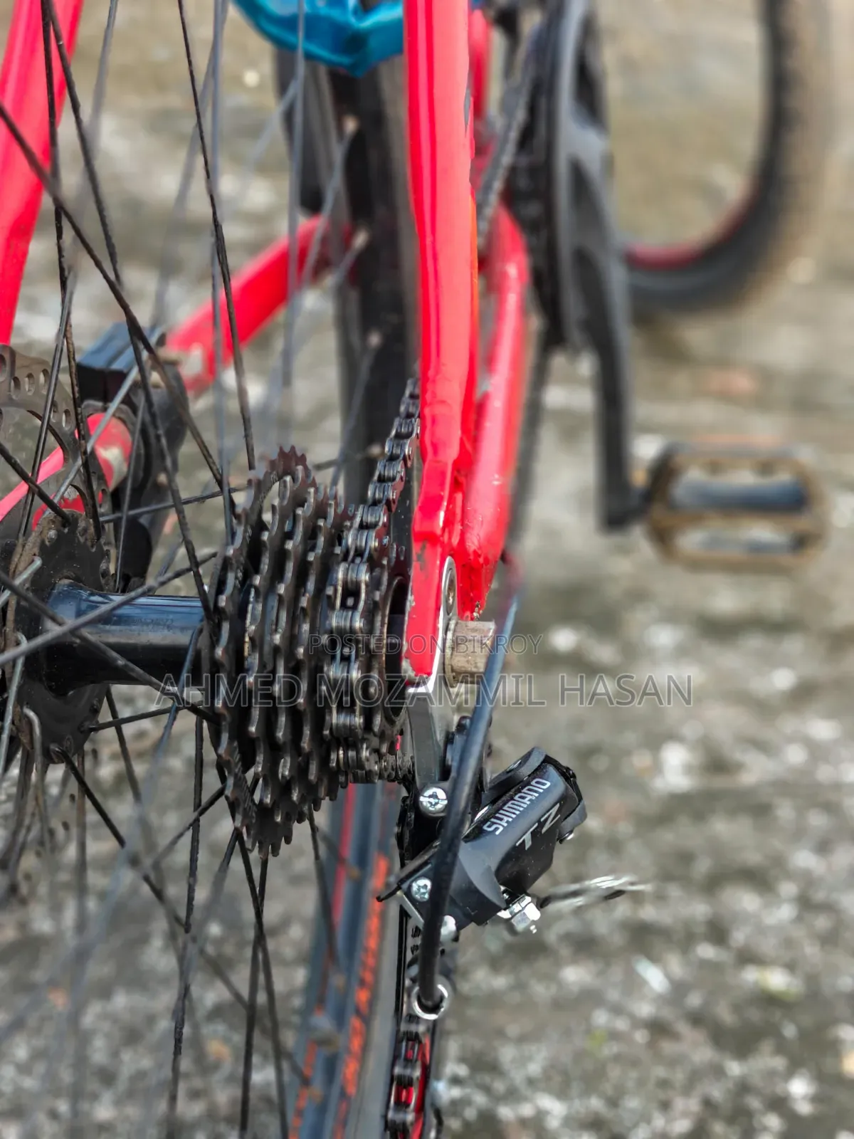 Veloce 71 Warrior 2.0