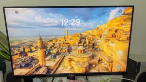 Dell 22 Monitor