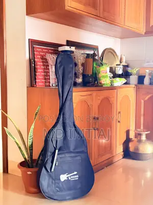 Devisev Guitar