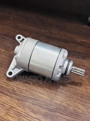 Hero Hunk Self Starter Motor