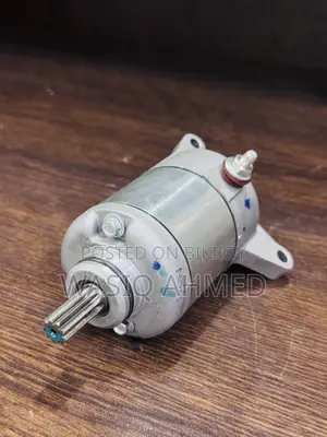 Hero Hunk Self Starter Motor