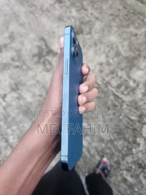 Apple iPhone 12 Pro Max 256 GB Blue