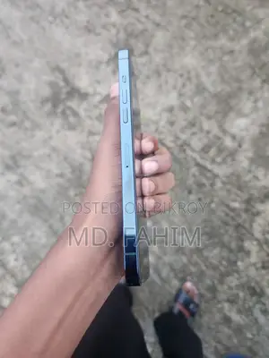 Apple iPhone 12 Pro Max 256 GB Blue