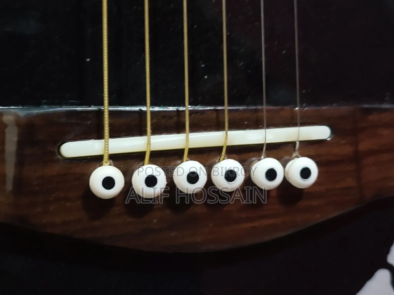 সিগনেচার গোগোস (অরিজিনাল) সেমি অ্যাকোস্টিক