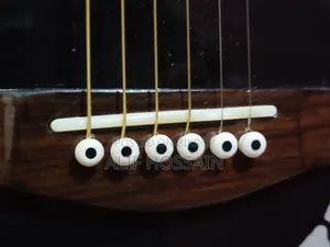 সিগনেচার গোগোস (অরিজিনাল) সেমি অ্যাকোস্টিক